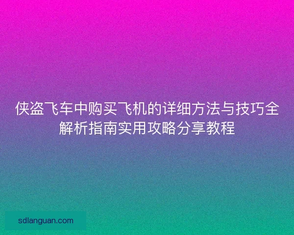 侠盗飞车中购买飞机的详细方法与技巧全解析指南实用攻略分享教程