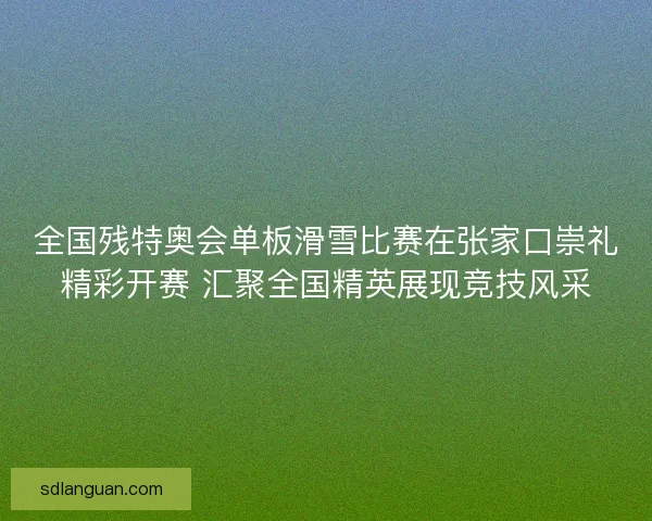 全国残特奥会单板滑雪比赛在张家口崇礼精彩开赛 汇聚全国精英展现竞技风采 全国残特奥会单板滑雪比赛在张家口崇礼精彩开赛 汇聚全国精英展现竞技风采